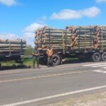 CORRIENTES: SALADAS, TRANSPORTABA 30 TONELADAS DE MADERAS SIN PAPELES EN LA RUTA 118 Y LE APLICARON UNA MULTA CONTRAVENCIONAL
